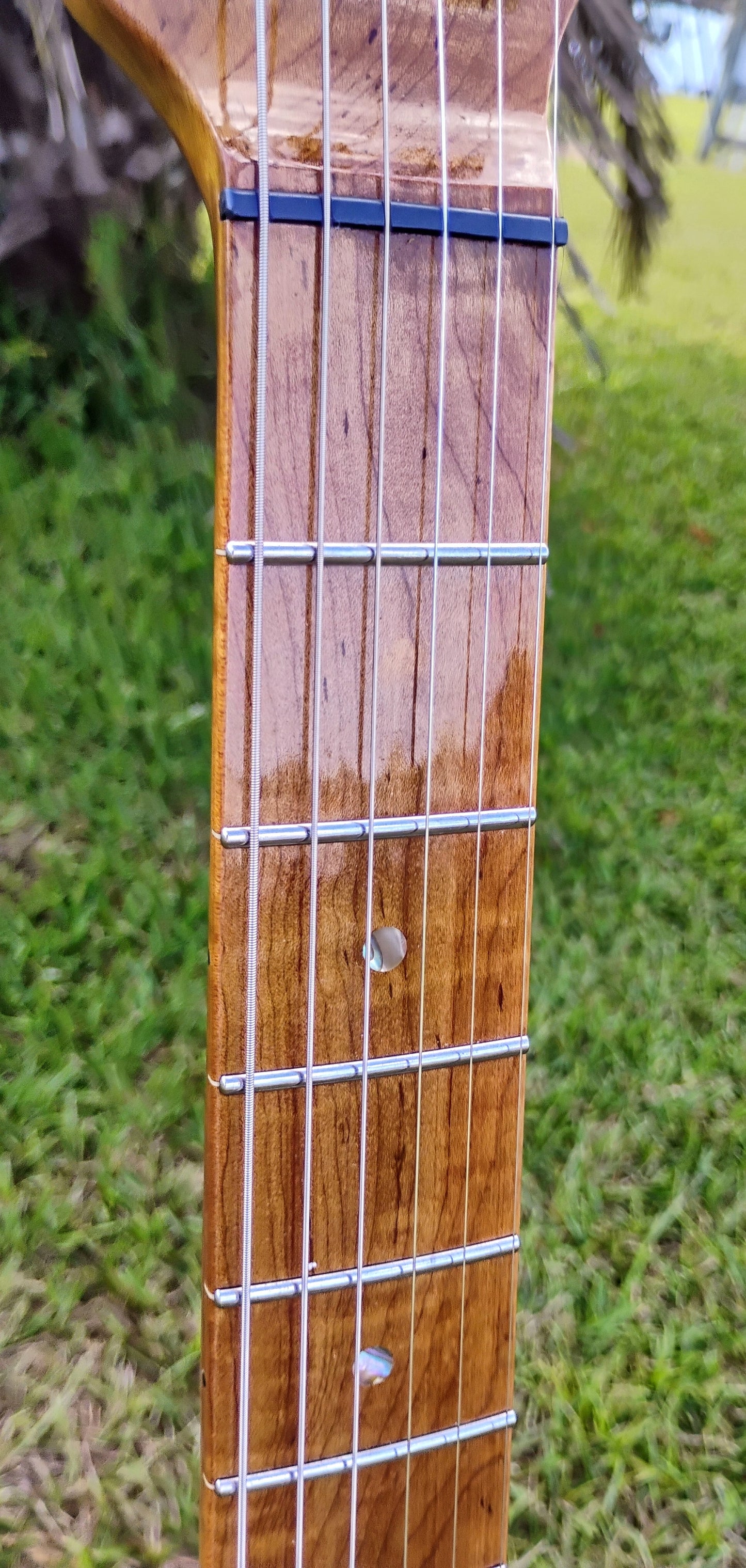 RICH Guitar Eco-aX mojo DLX S Relic with Gig Bag