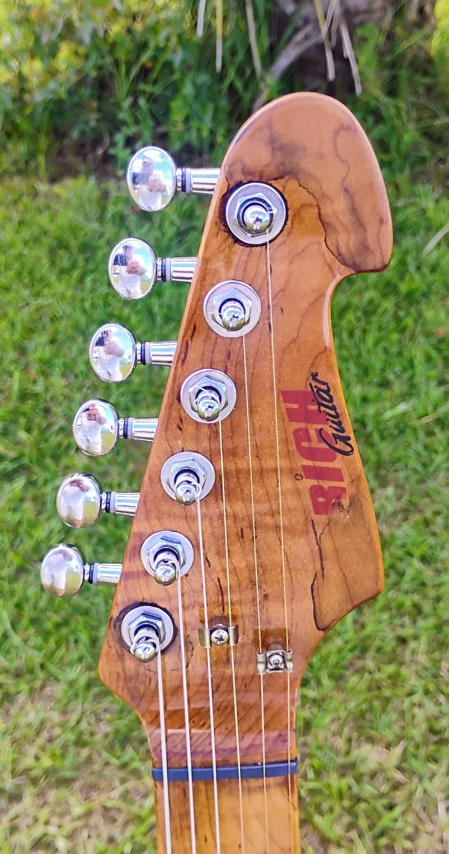 RICH Guitar Eco-aX mojo DLX S Relic with Gig Bag