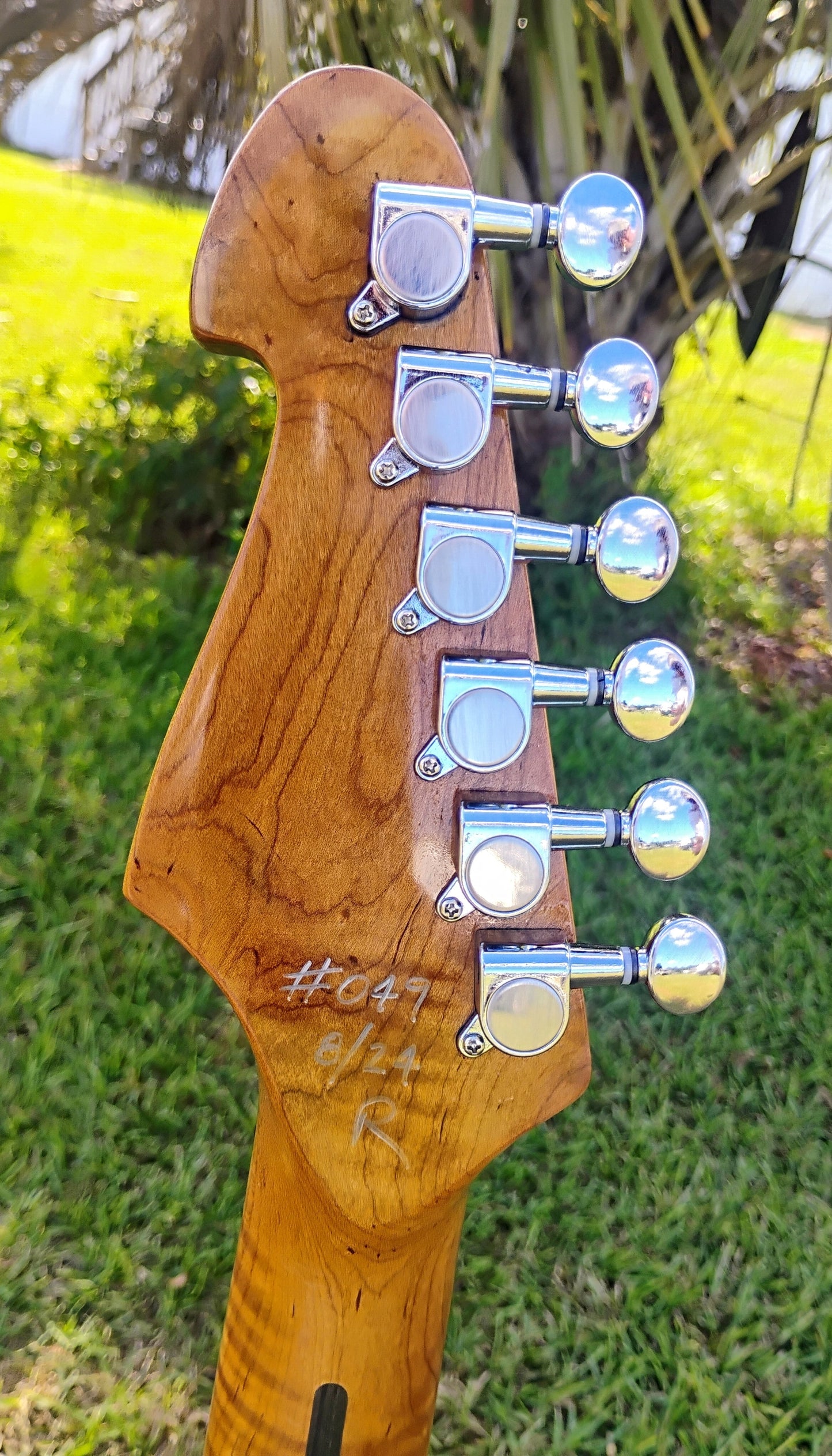 RICH Guitar Eco-aX mojo DLX S Relic with Gig Bag