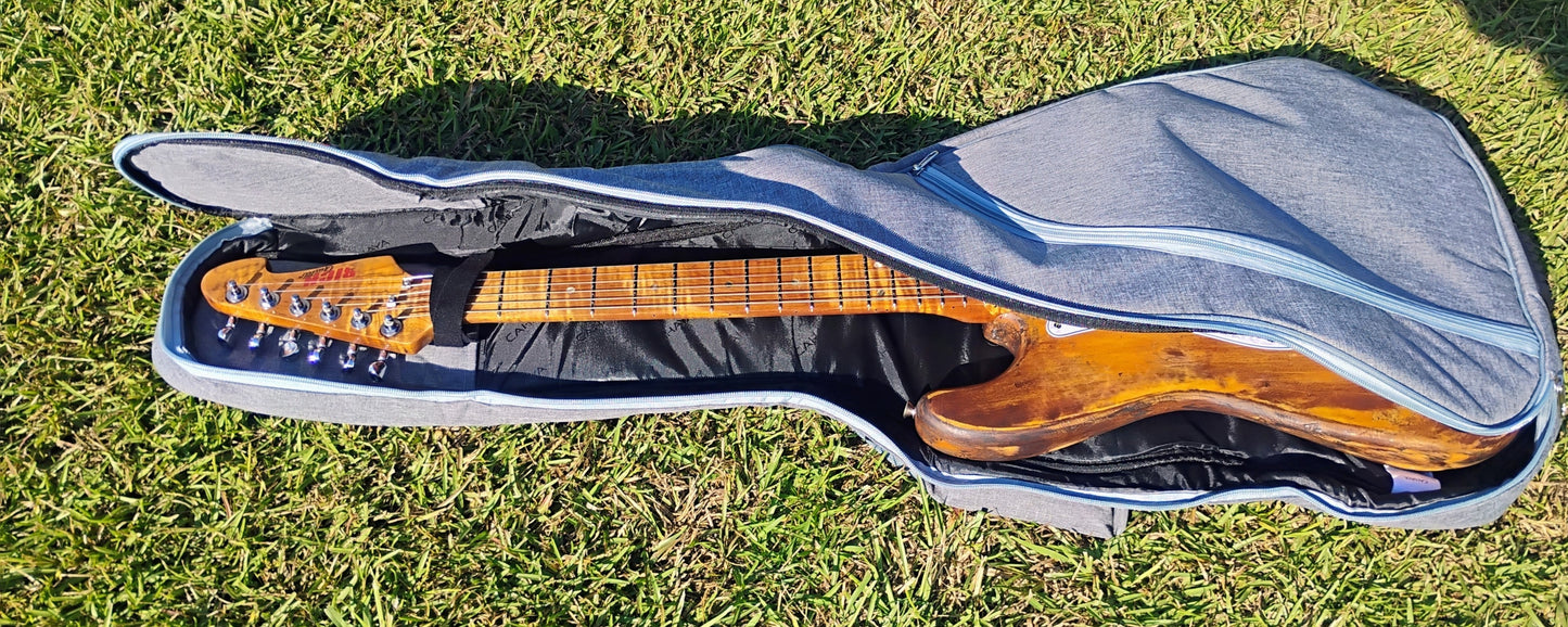 RICH Guitar Eco-aX mojo DLX S Relic with Gig Bag