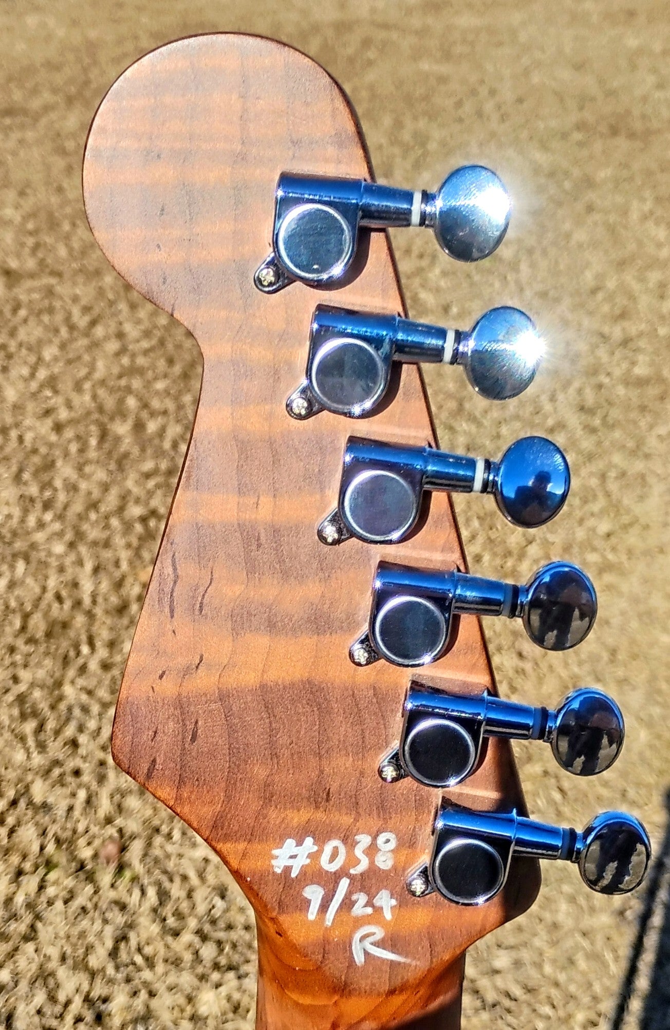 RICH Guitar Myrtle Beach S FR Roasted+ Flamed Mahogany Guitar #038 with DLX Gig Bag