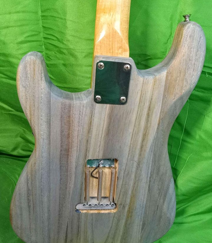 RICH Guitar Myrtle Beach Eco-aX mojo S #026 Barncaster with gig bag
