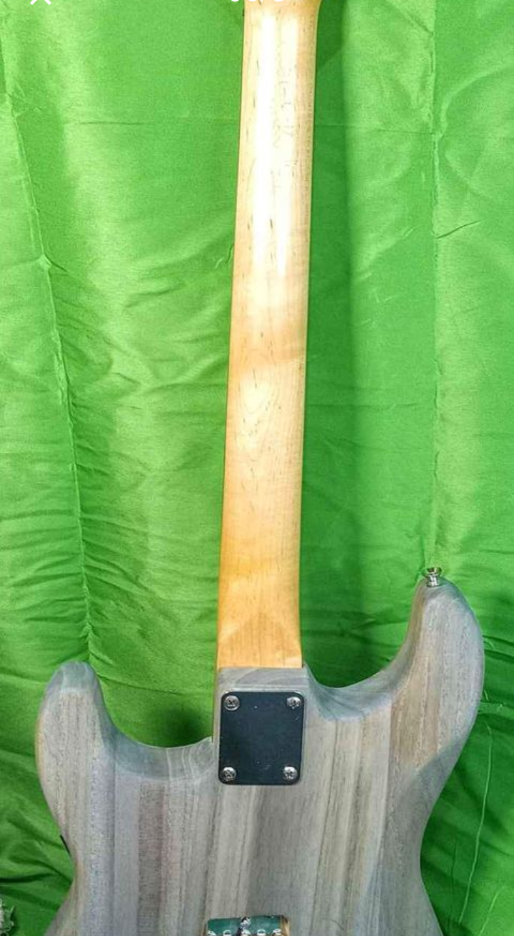 RICH Guitar Myrtle Beach Eco-aX mojo S #026 Barncaster with gig bag
