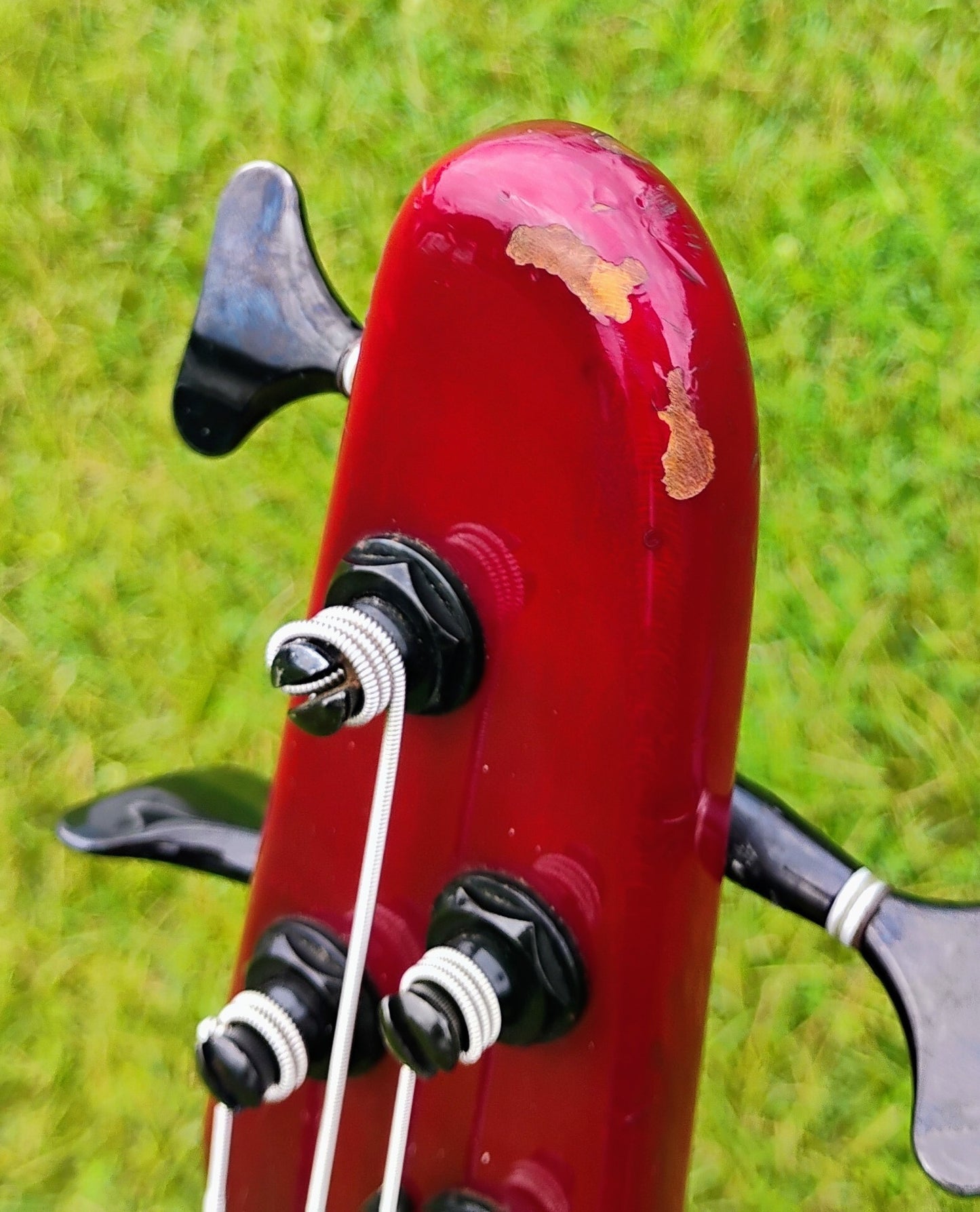 Rare Nanyo Bass Collection Bass with Gig Bag