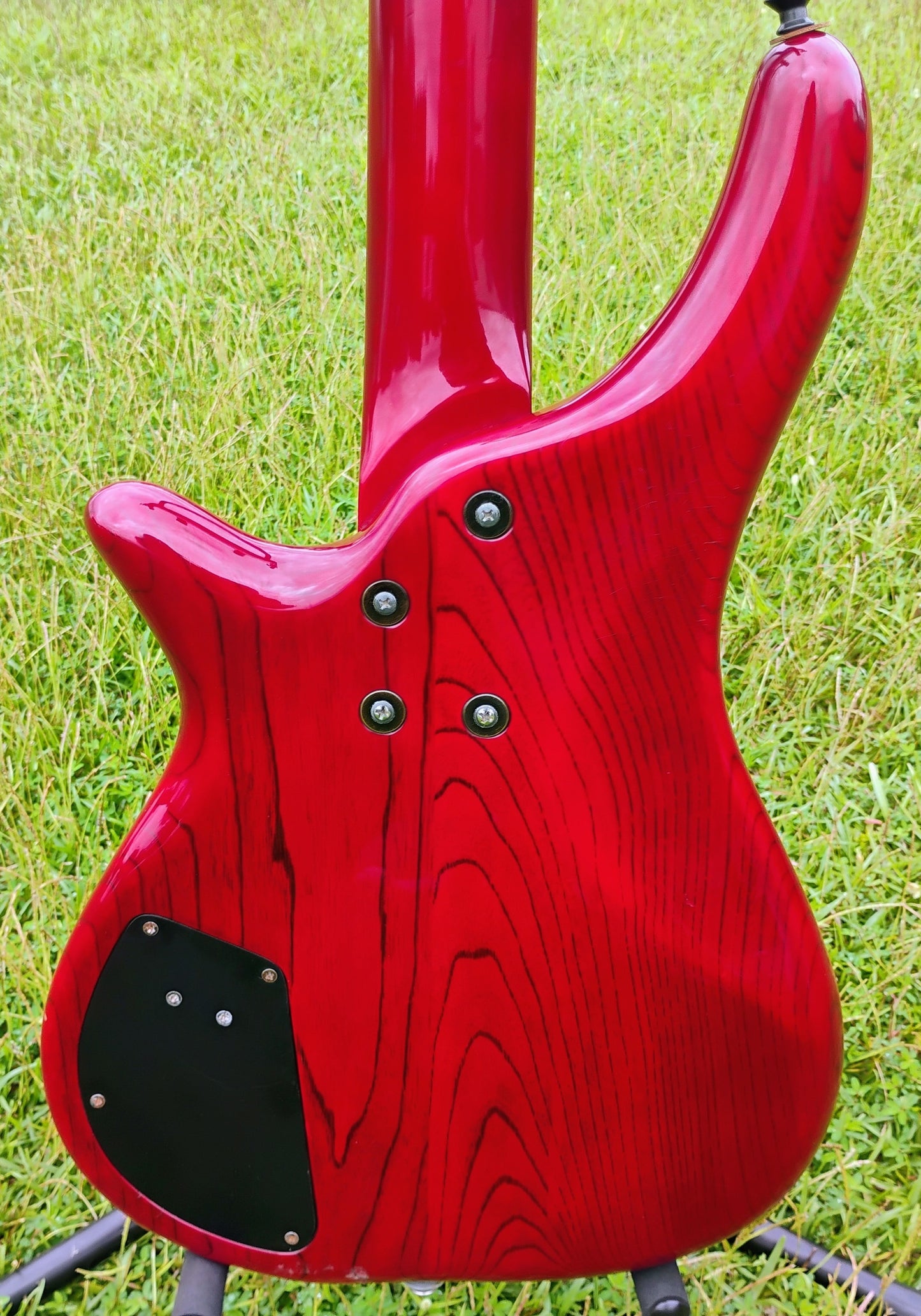 Rare Nanyo Bass Collection Bass with Gig Bag