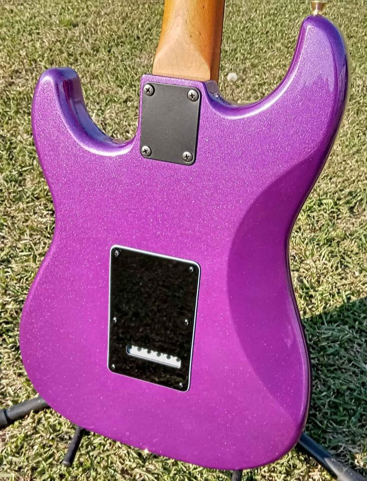 RICH Guitar Myrtle Beach STD+ ROASTED S #024 Purple Haze Metallic with Gig bag