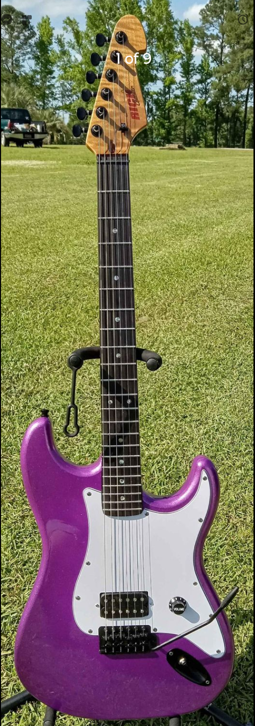 RICH Guitar Myrtle Beach DLX Roasted S #34 Purple Haze Micro-metallic with bag