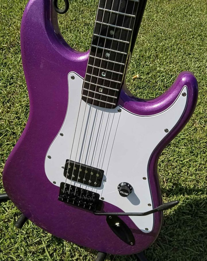 RICH Guitar Myrtle Beach DLX Roasted S #34 Purple Haze Micro-metallic with bag